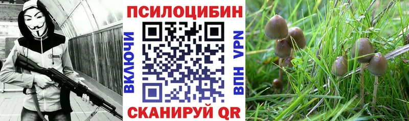 Псилоцибиновые грибы Magic Shrooms  цена   Аткарск 